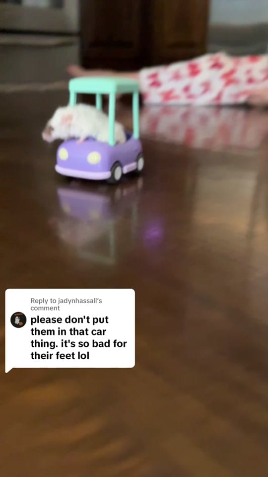 Post 4 by Jen Starr on TikTok (video)