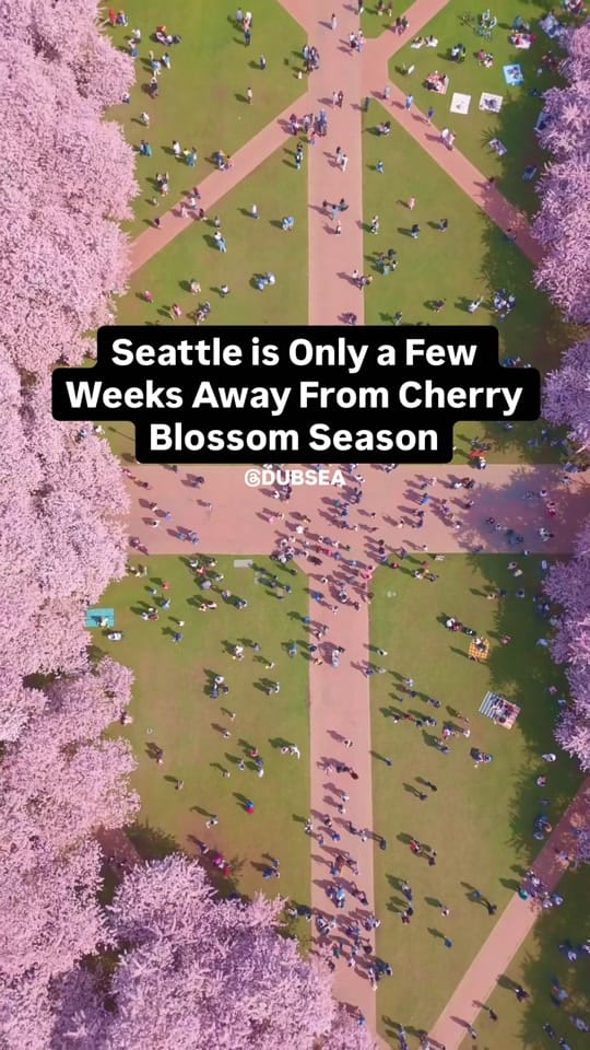 Post 5 by dubsea on TikTok (video)