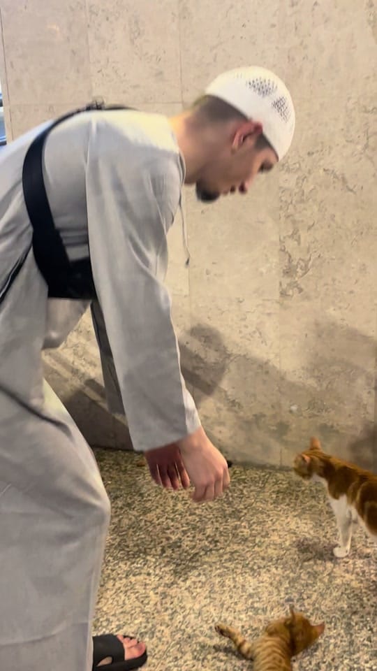 Post 2 by ttemusafir on TikTok (video)