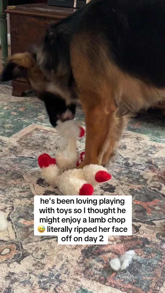 Post 3 by Kelsey Drea Valencia on TikTok (video)