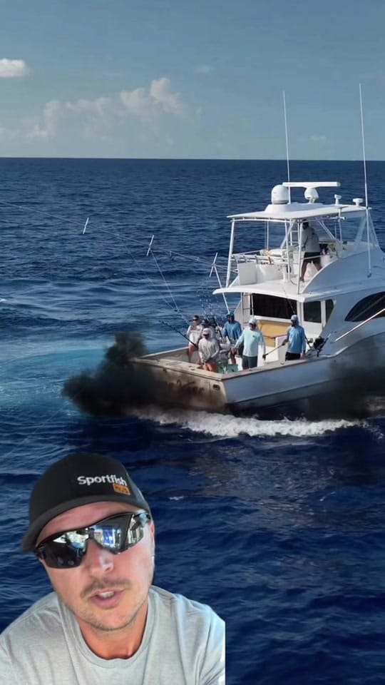 Post 3 by boatgurus on TikTok (video)