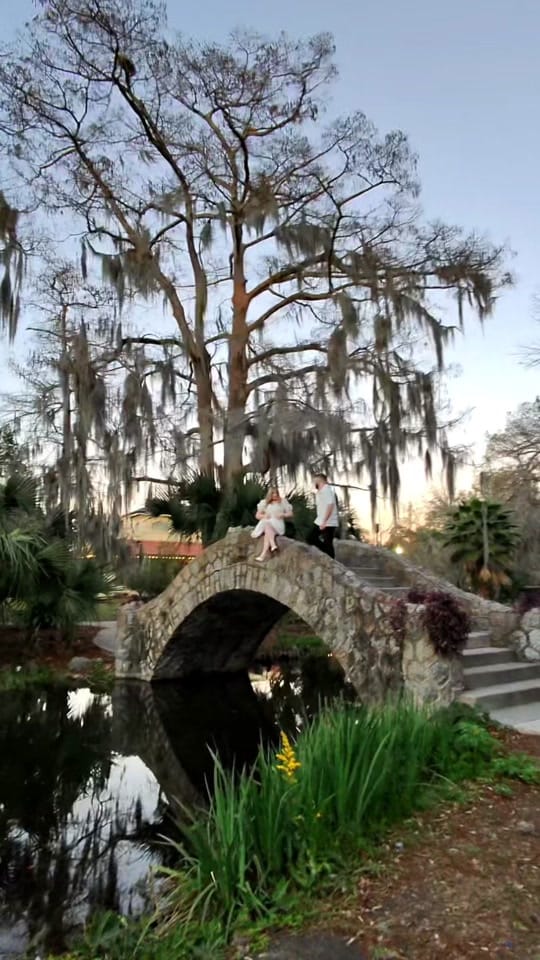 Post 9 by Wonderphotography on TikTok (video)