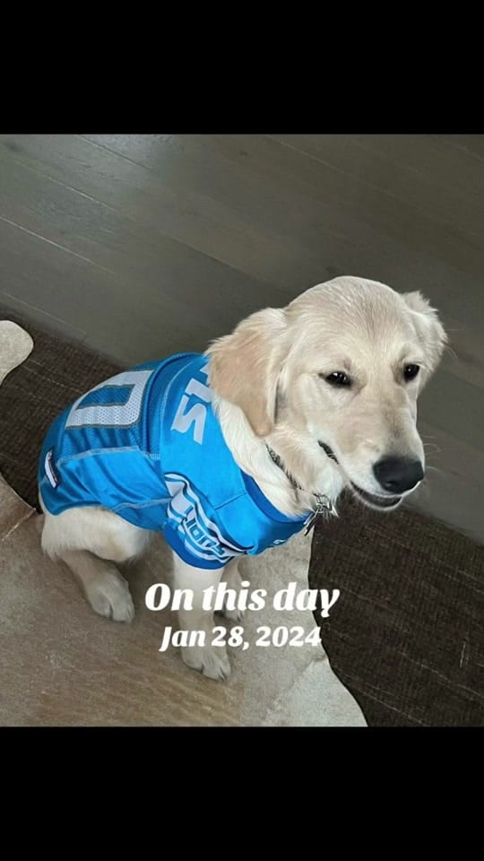 Post 4 by Chris Charlton on TikTok (video)