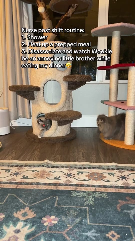Post 2 by Jenna G on TikTok (video)