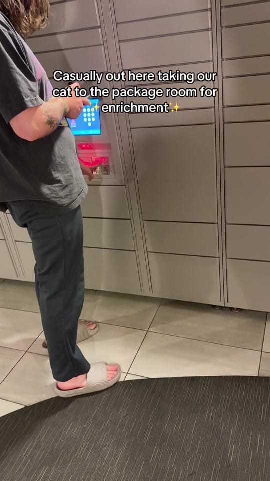 Post 9 by Jenna G on TikTok (video)