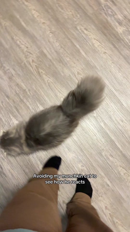Post 5 by Jenna G on TikTok (video)