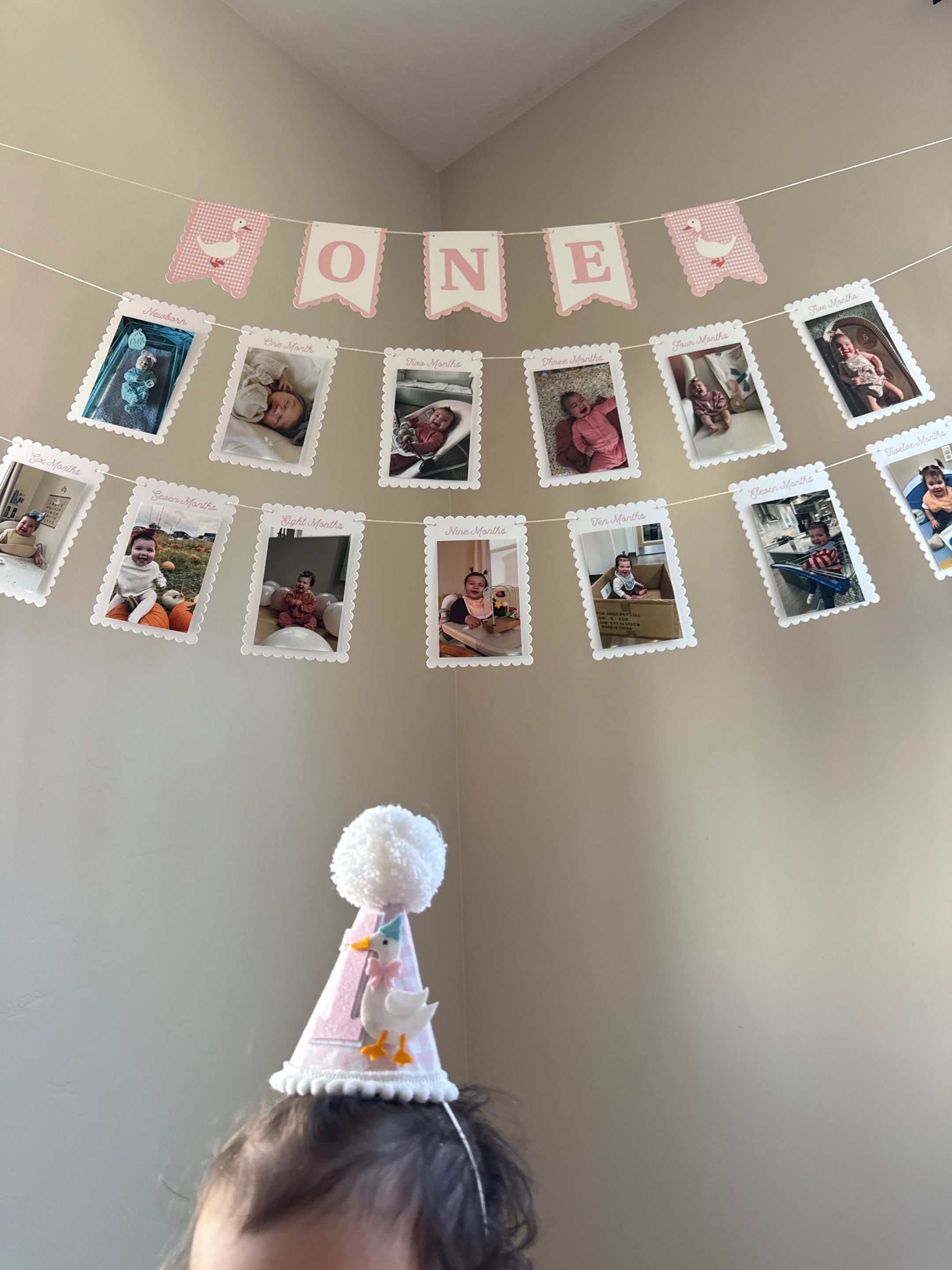 Post 5 by Alexandra Gonzalez on TikTok (video)