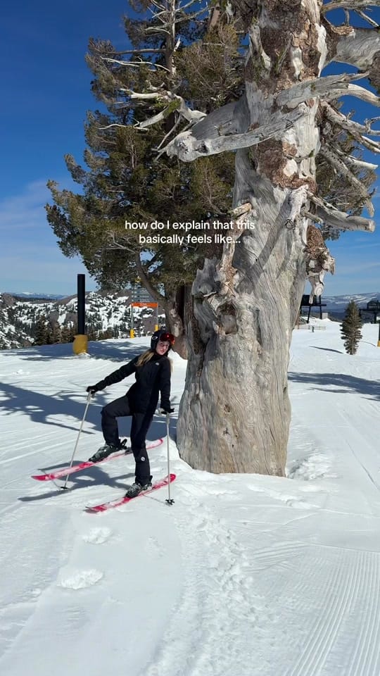 Post 6 by Stef Anderson on TikTok (video)