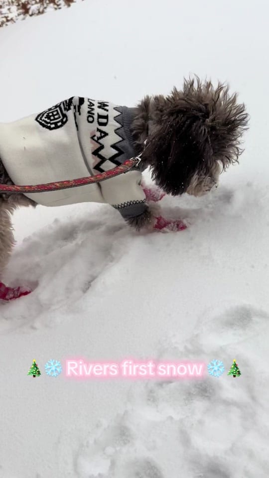 Post 5 by 💖Janae 💖 on TikTok (video)