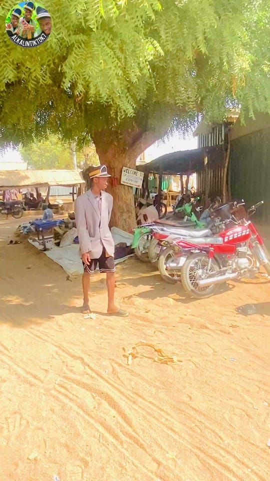 Post 4 by AlKALINTIKTOK7 on TikTok (video)