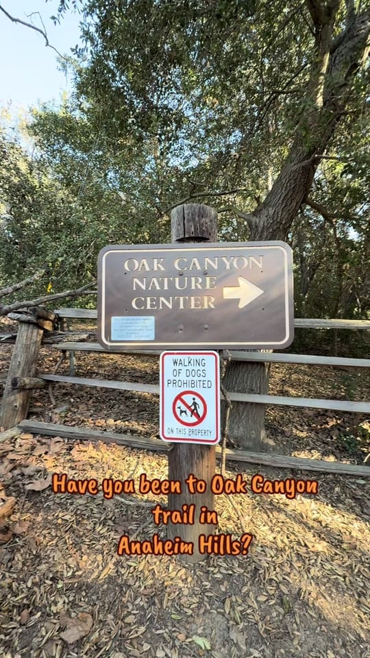 Post 6 by Adrian Galarza on TikTok (video)