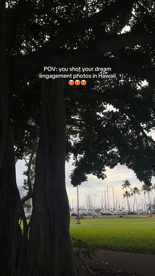 Post 2 by Vera on TikTok (video)