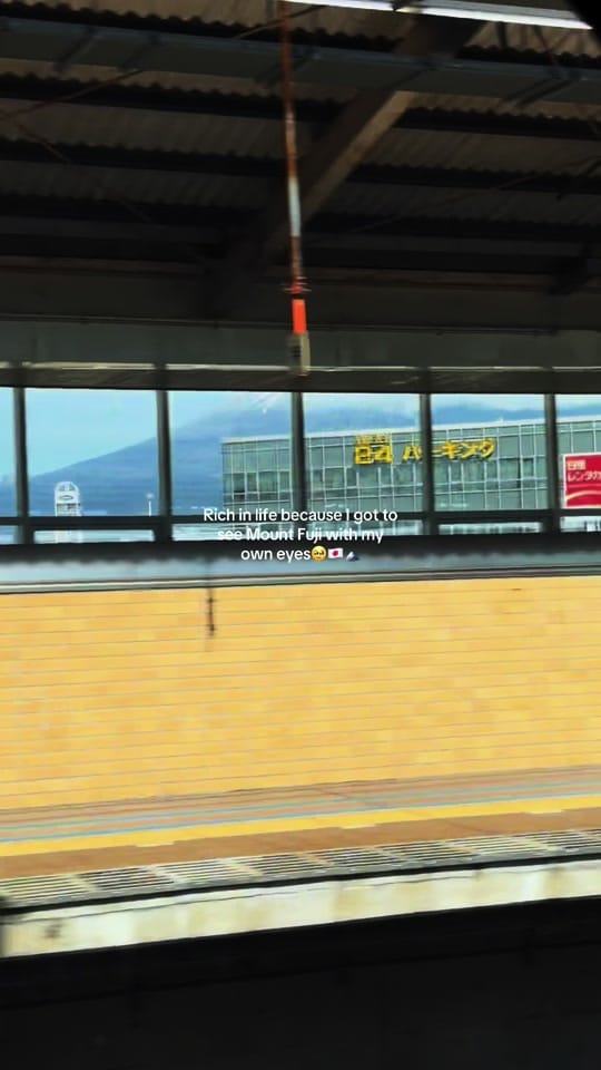 Post 4 by Diana J. ❀ on TikTok (video)