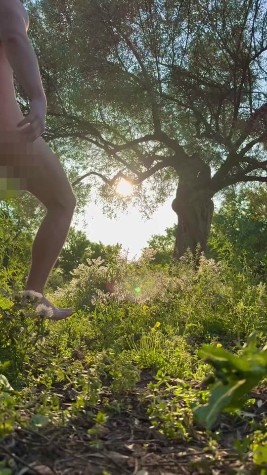 Post 6 by Alex Stoddard on TikTok (video)