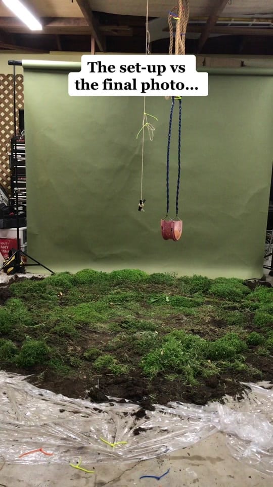 Post 10 by Alex Stoddard on TikTok (video)