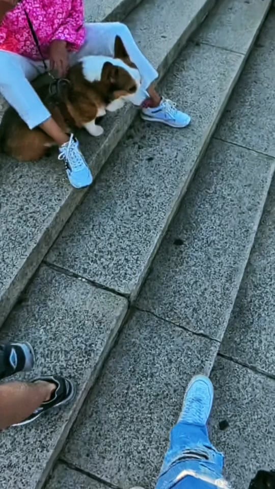 Post 7 by Hugo Hernandez 📸 on TikTok (video)