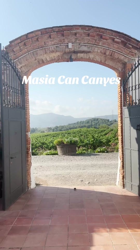 Post 4 by adamandmadalyn on TikTok (video)