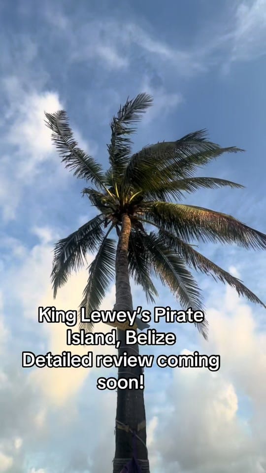 Post 4 by JetSet Aly - Travel Agent ✈️ on TikTok (video)