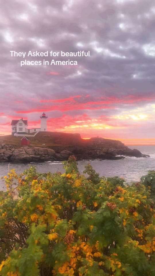 Post 8 by Caitlynn Marie ✨ on TikTok (video)