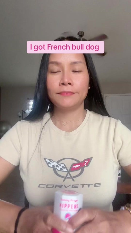 Post 3 by Supannee Haraldsen on TikTok (video)