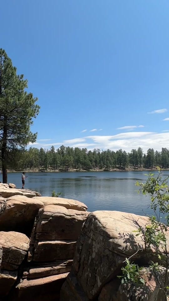 Post 4 by Supannee Haraldsen on TikTok (video)