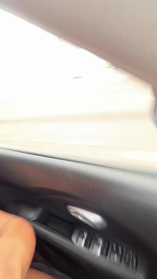 Post 3 by Alexis on TikTok (video)