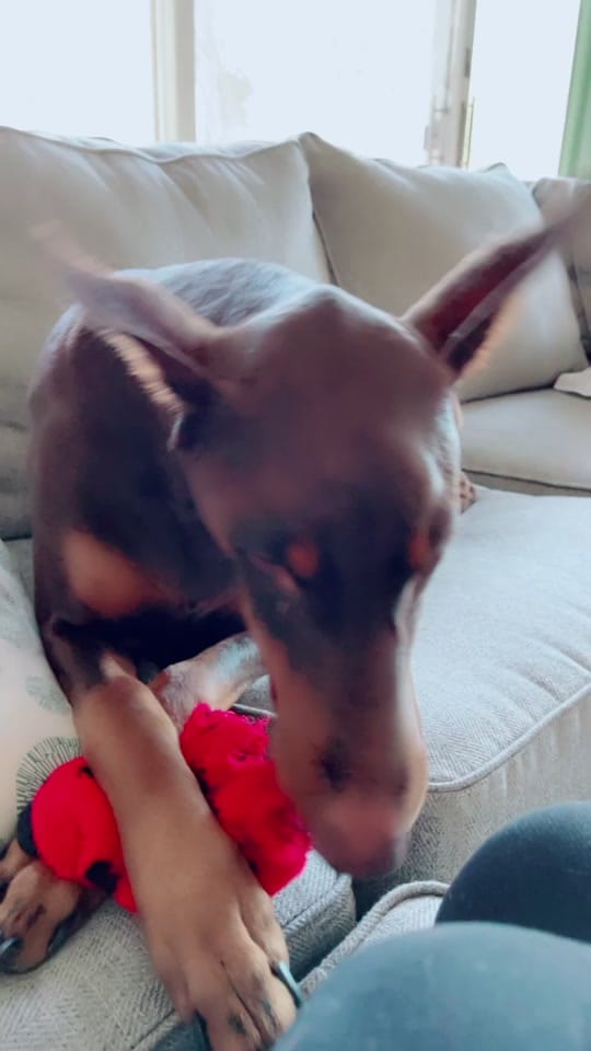Post 10 by kaylenarenae on TikTok (video)