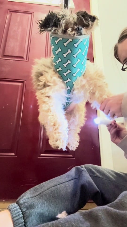 Post 5 by Katie 💋 on TikTok (video)