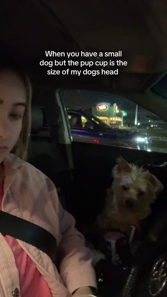 Post 7 by Rola on TikTok (video)