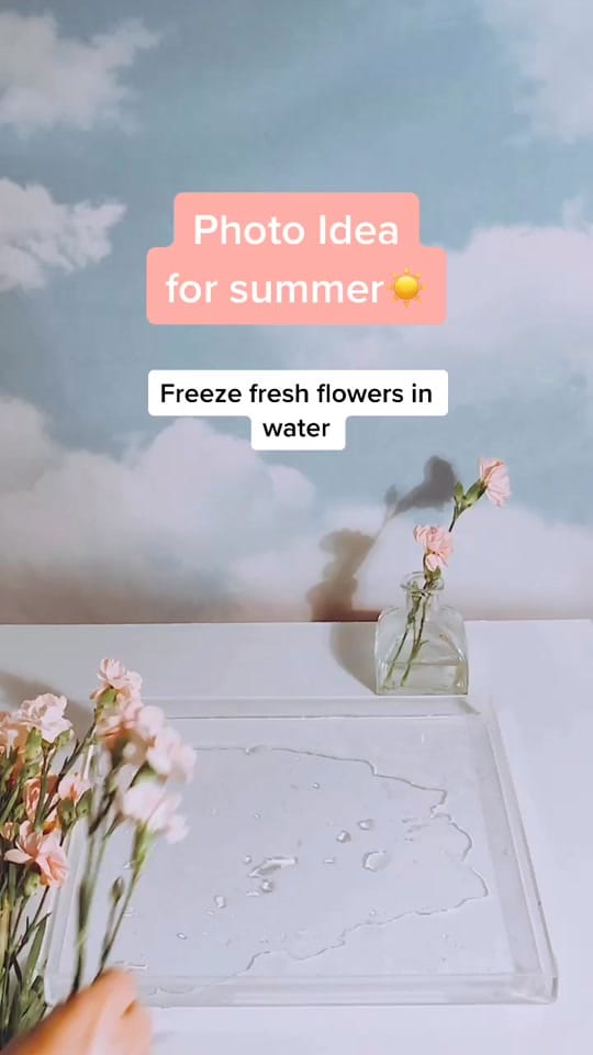 Post 6 by munopiaportraits on TikTok (video)