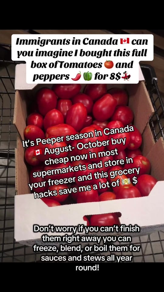 Post 2 by Vanessa NKZ🇨🇦 on TikTok (video)