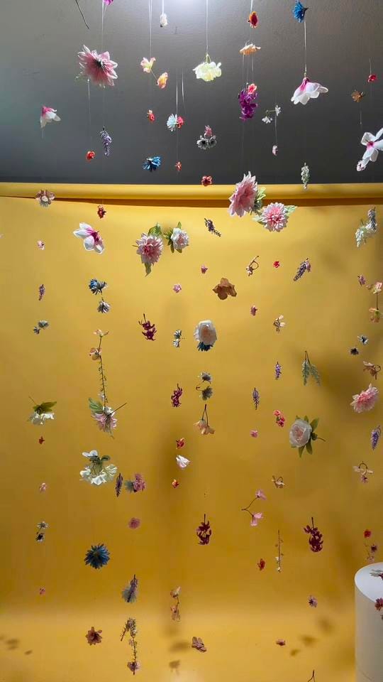 Post 1 by Gabriela on TikTok (video)