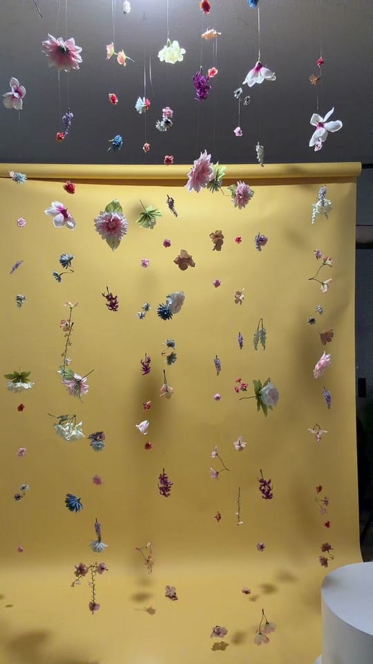 Post 4 by Gabriela on TikTok (video)