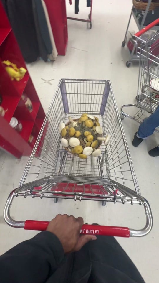 Post 9 by pauloctavious on TikTok (video)