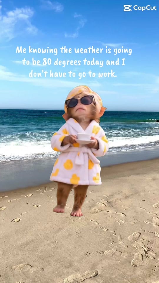 Post 2 by Gigi🌸🌸 on TikTok (video)