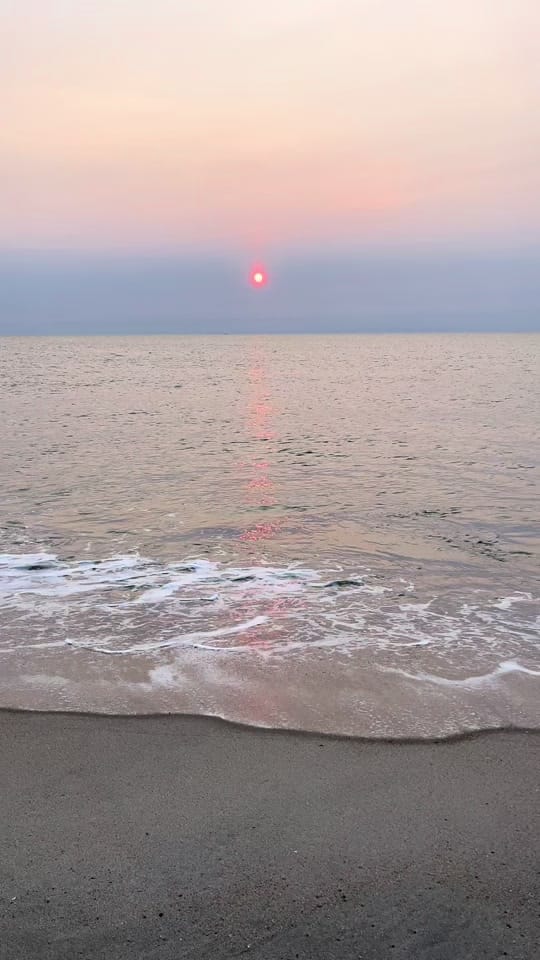 Post 10 by Gigi🌸🌸 on TikTok (video)
