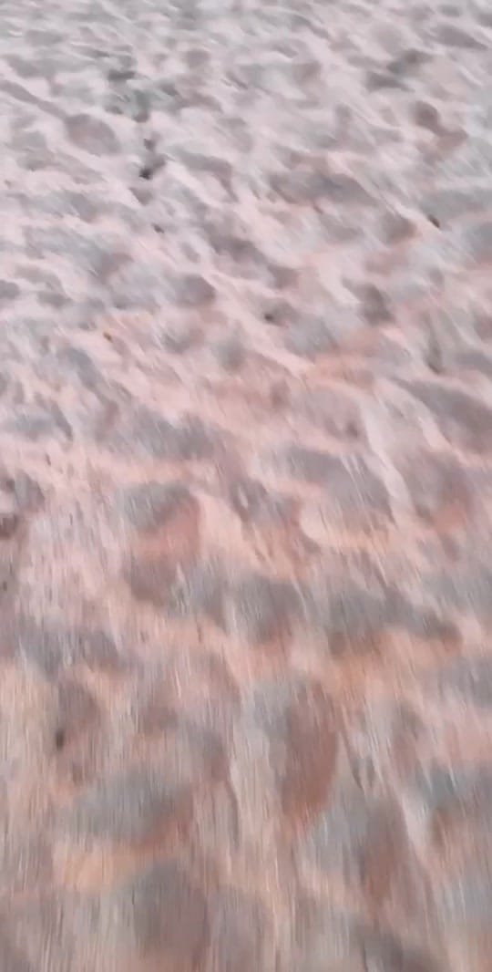 Post 9 by alexandra on TikTok (video)