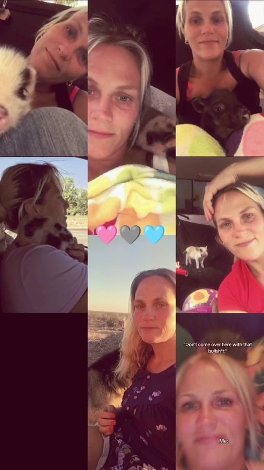 Post 1 by Off grid living with Stacy on TikTok (video)