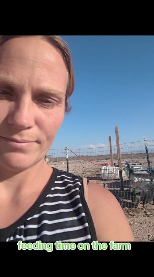 Post 9 by Off grid living with Stacy on TikTok (video)
