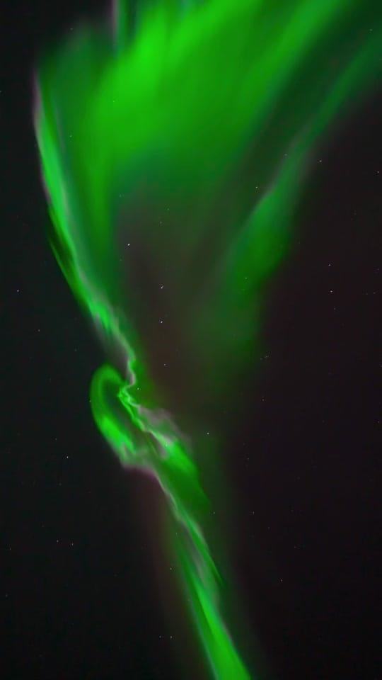 Post 3 by Maia Hartwigsen on TikTok (video)