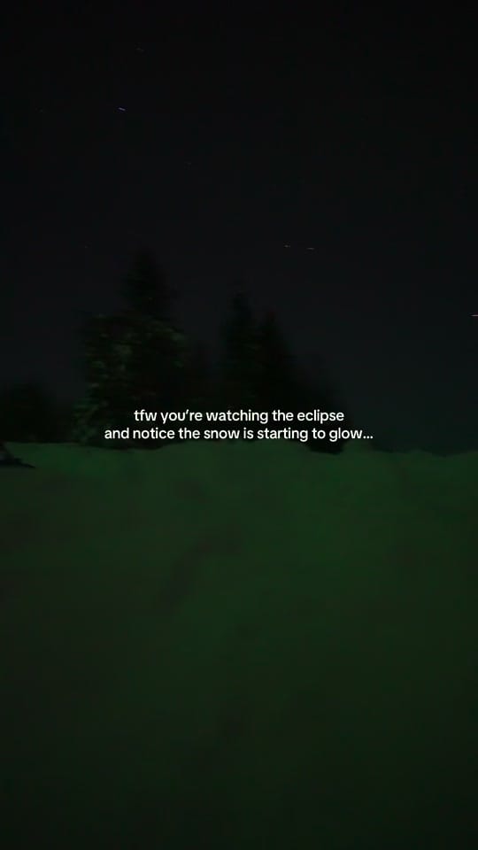 Post 5 by Maia Hartwigsen on TikTok (video)