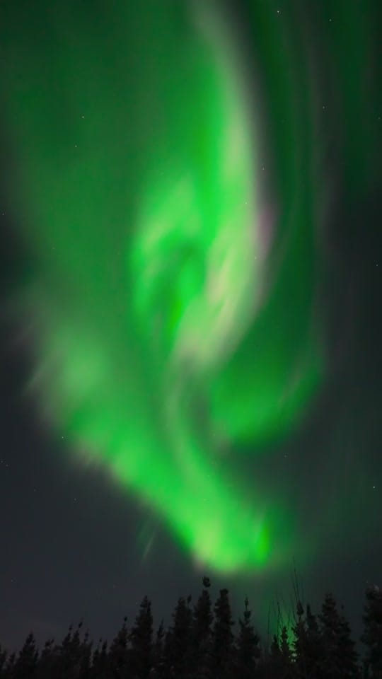 Post 7 by Maia Hartwigsen on TikTok (video)