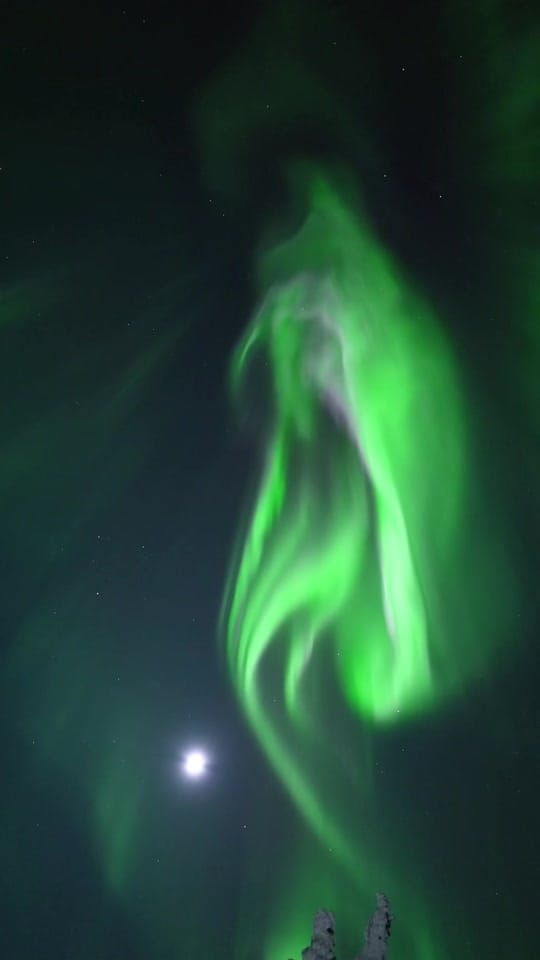 Post 10 by Maia Hartwigsen on TikTok (video)