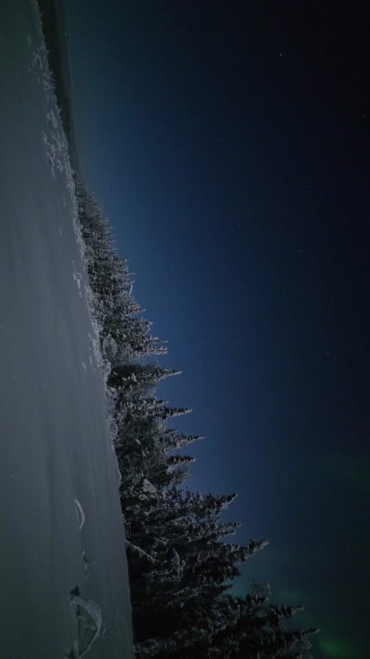 Post 9 by Maia Hartwigsen on TikTok (video)