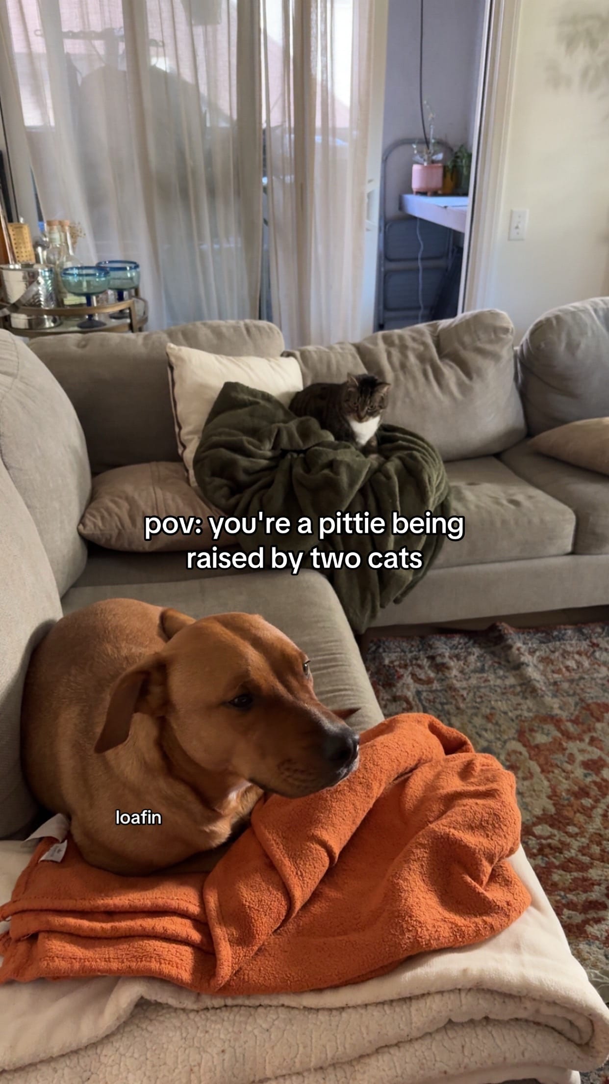 Post 10 by bylauraarante on TikTok (video)