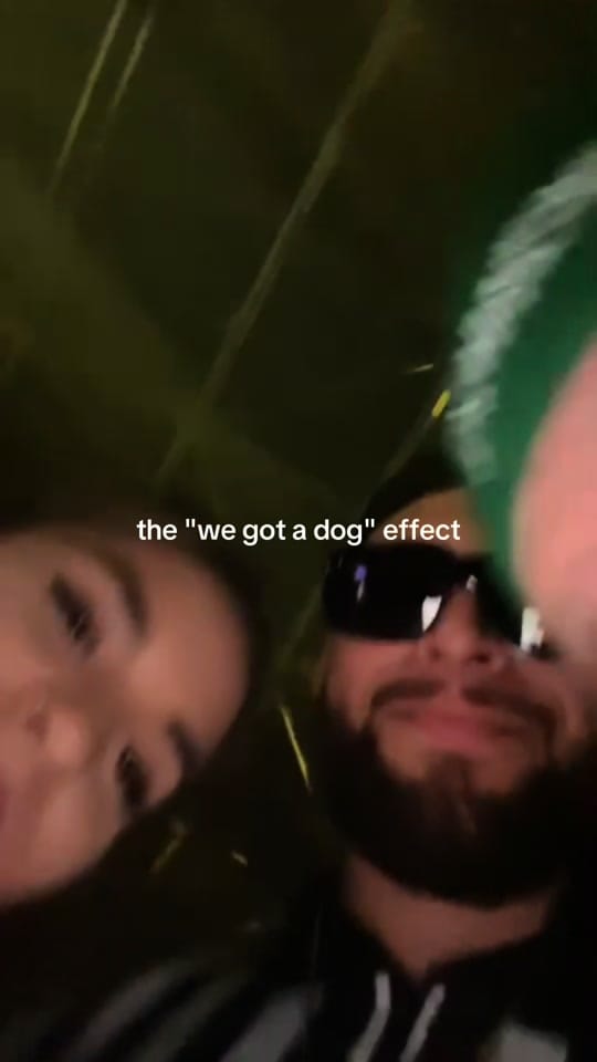 Post 8 by bylauraarante on TikTok (video)