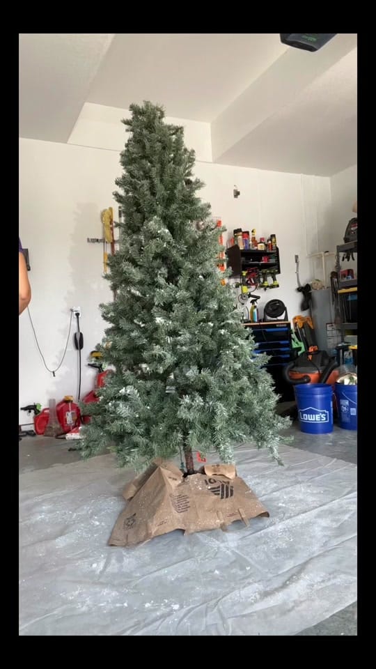 Post 8 by Kenzo on TikTok (video)