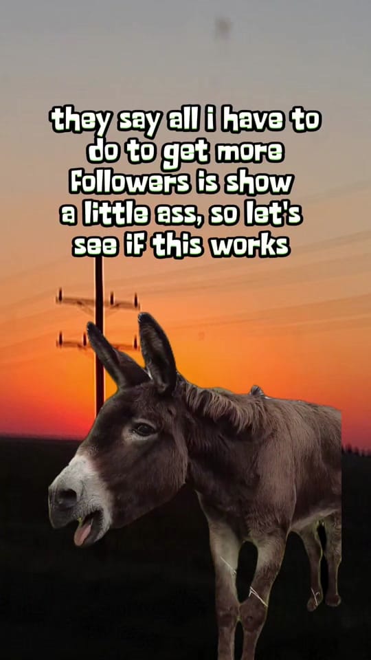 Post 5 by Tim Sweat on TikTok (video)