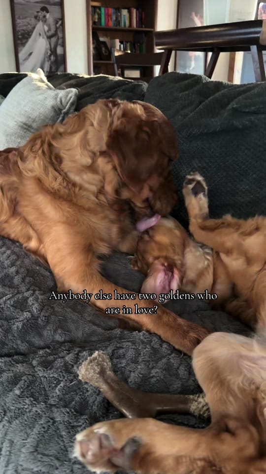 Post 2 by Sianna | WA Photographer ✨ on TikTok (video)