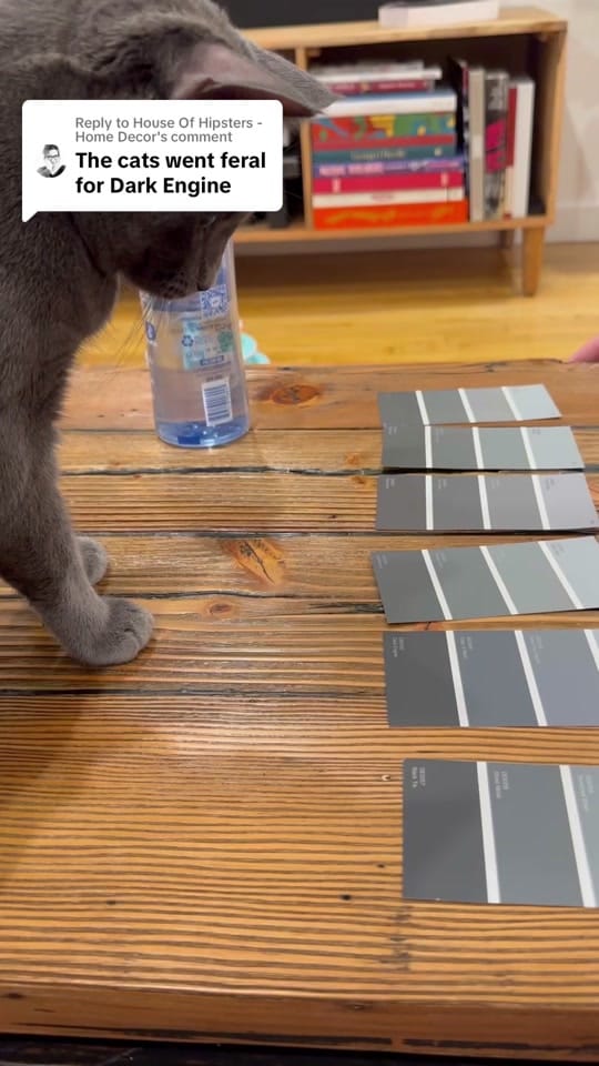 Post 9 by Renovating Our Home on TikTok (video)